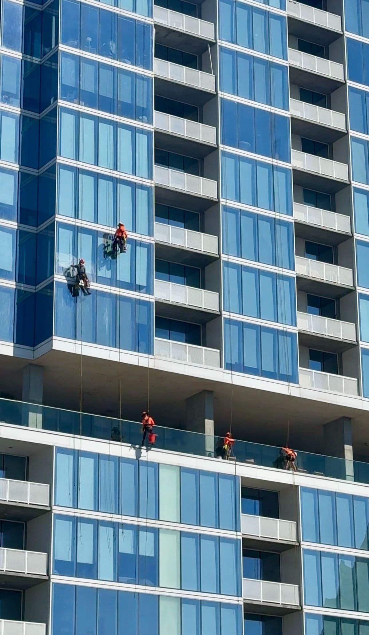 1 Bed vs 2 Bed Demand, Willie Nelson Mural