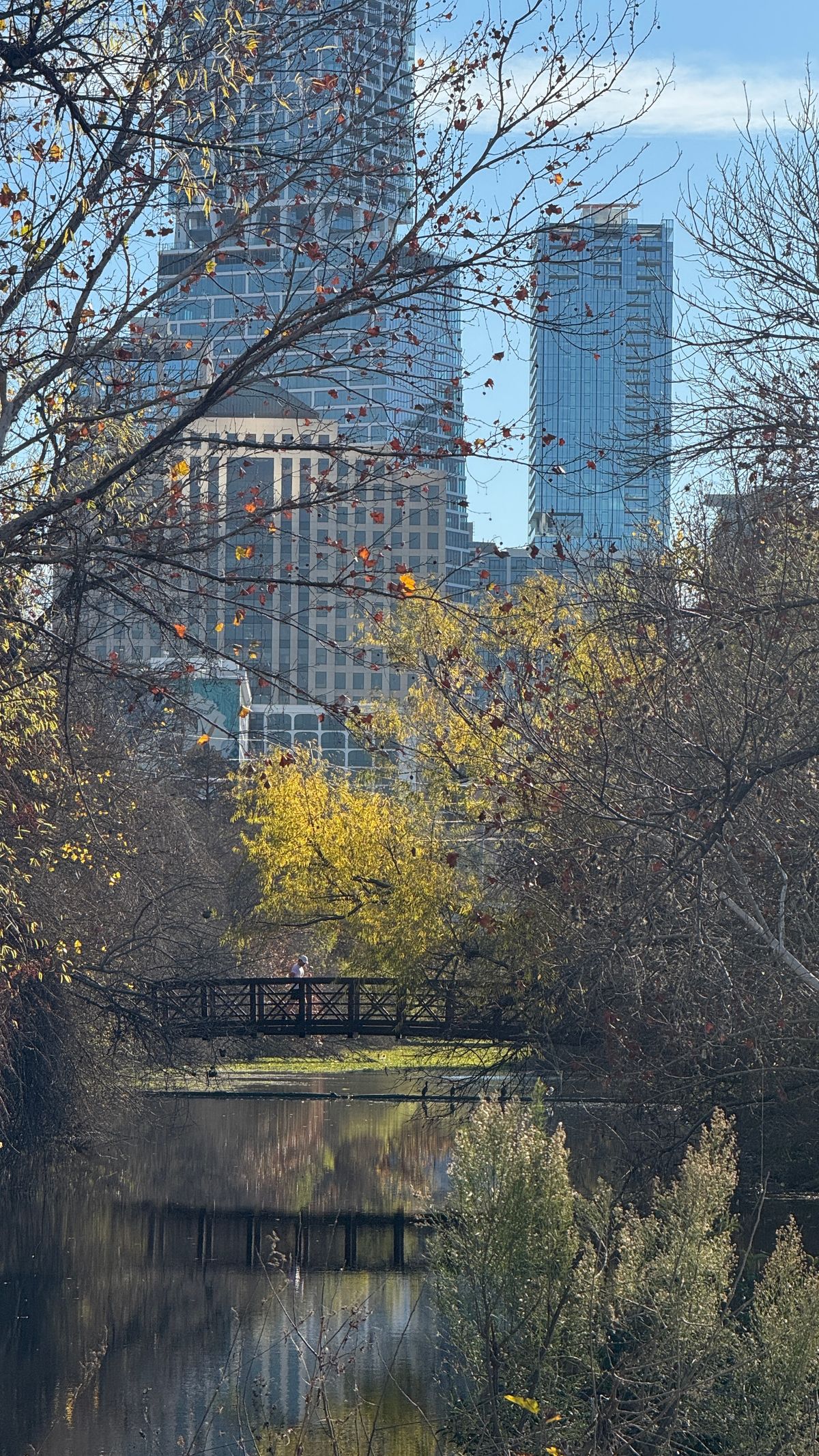 Downtown Austin - A trail walk on a sunny winter day is tough to beat